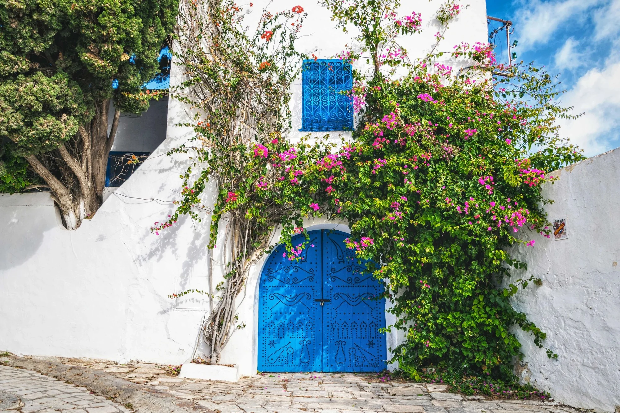 Sidi Bou Said, Tunisia — traditional door and bougainvillea
